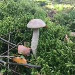 Gawramaszki - - Komfortowe Z Lazienkami I Aneksami Kuchennymi Appartement *