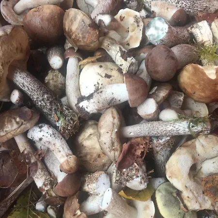 Gawramaszki - - Komfortowe Z Lazienkami I Aneksami Kuchennymi *