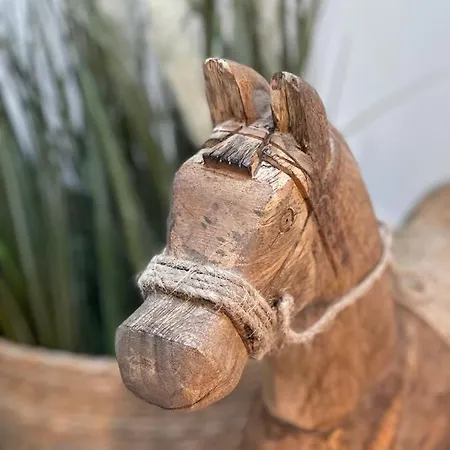 Gawramaszki - - Komfortowe Z Lazienkami I Aneksami Kuchennymi * ベンゴジェボ