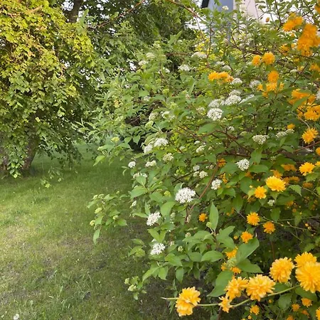 Gawramaszki - - Komfortowe Z Lazienkami I Aneksami Kuchennymi ベンゴジェボ