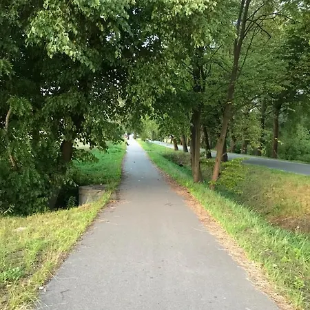 Gawramaszki - - Komfortowe Z Lazienkami I Aneksami Kuchennymi ベンゴジェボ