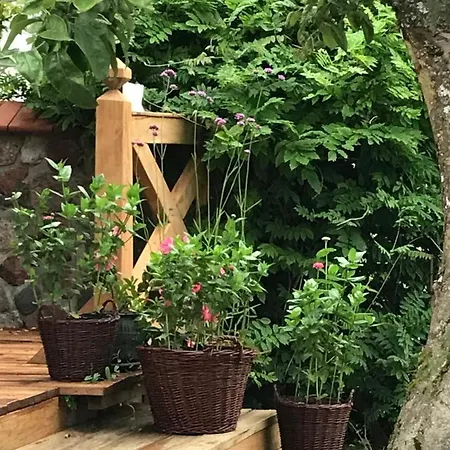 Gawramaszki - - Komfortowe Z Lazienkami I Aneksami Kuchennymi アパート ベンゴジェボ