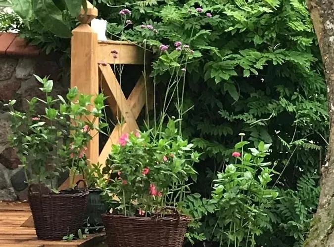 Gawramaszki - - Komfortowe Z Lazienkami I Aneksami Kuchennymi Apartament Węgorzewo