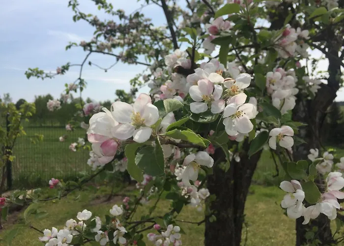 Gawramaszki - - Komfortowe Z Lazienkami I Aneksami Kuchennymi * Węgorzewo